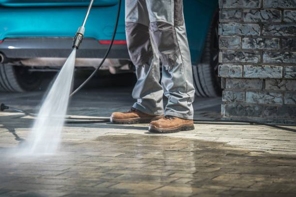 Best Rust Removal  in Webster, FL
