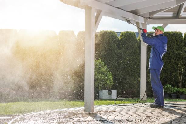 Best Soft Washing  in Webster, FL