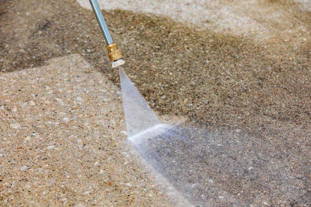 Best Boat and Dock Cleaning  in Webster, FL