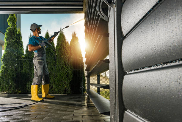 Best Roof Washing  in Webster, FL